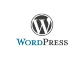 Digital Marketing Agency