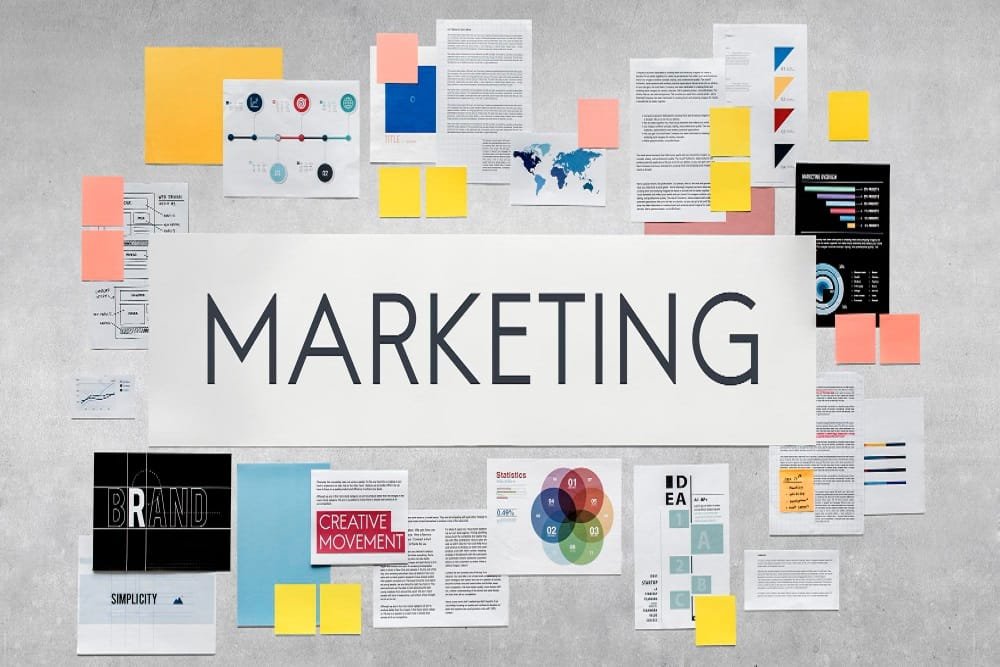 Read more about the article PISTECHS vs Other Digital Marketing Agencies: What Sets Us Apart